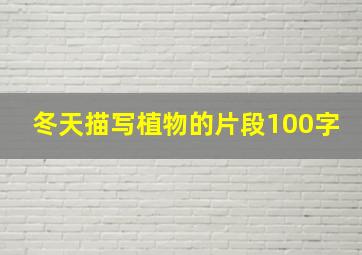 冬天描写植物的片段100字