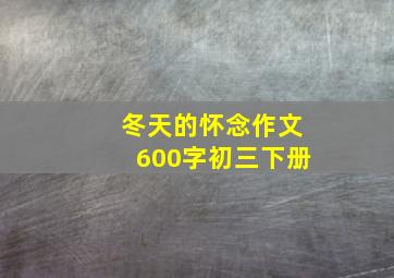 冬天的怀念作文600字初三下册