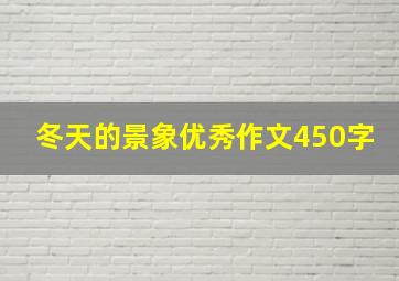 冬天的景象优秀作文450字