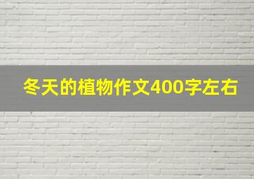 冬天的植物作文400字左右