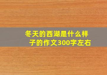 冬天的西湖是什么样子的作文300字左右