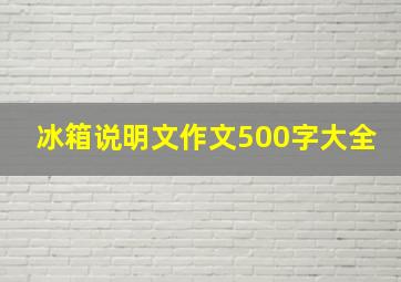 冰箱说明文作文500字大全