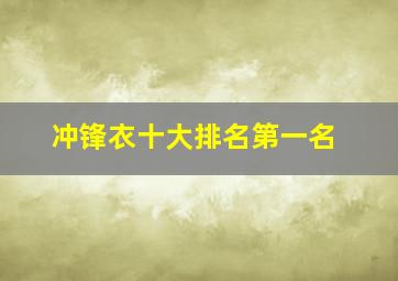 冲锋衣十大排名第一名