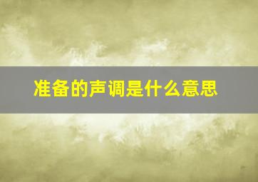 准备的声调是什么意思