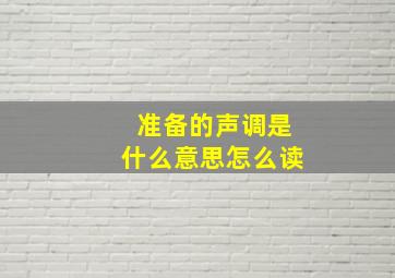 准备的声调是什么意思怎么读