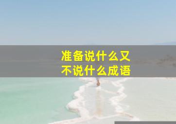 准备说什么又不说什么成语