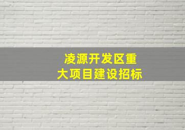 凌源开发区重大项目建设招标