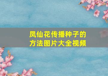 凤仙花传播种子的方法图片大全视频