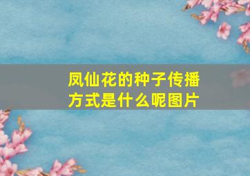 凤仙花的种子传播方式是什么呢图片