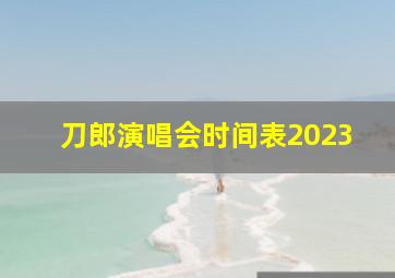 刀郎演唱会时间表2023