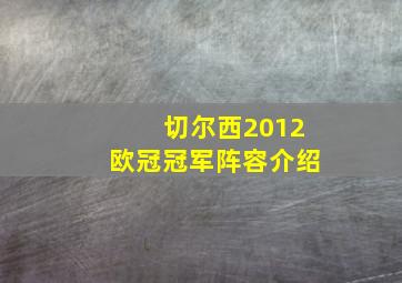 切尔西2012欧冠冠军阵容介绍