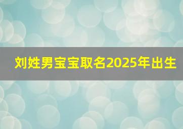 刘姓男宝宝取名2025年出生