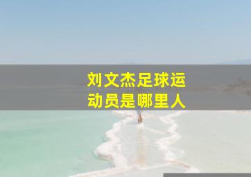 刘文杰足球运动员是哪里人