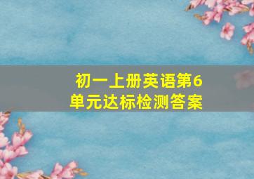 初一上册英语第6单元达标检测答案