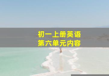 初一上册英语第六单元内容