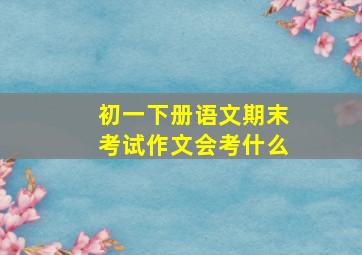 初一下册语文期末考试作文会考什么