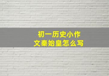 初一历史小作文秦始皇怎么写