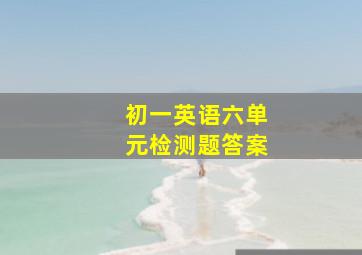 初一英语六单元检测题答案