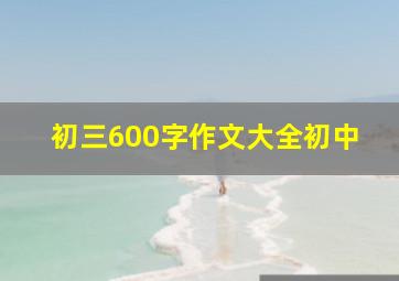 初三600字作文大全初中