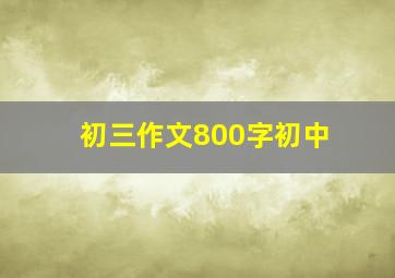 初三作文800字初中