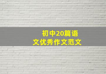 初中20篇语文优秀作文范文