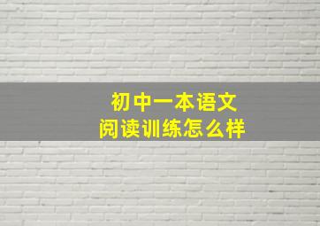 初中一本语文阅读训练怎么样