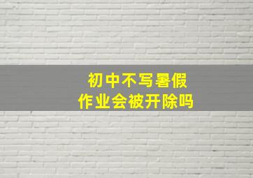 初中不写暑假作业会被开除吗