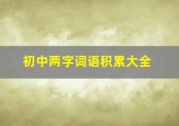 初中两字词语积累大全