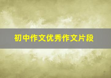 初中作文优秀作文片段