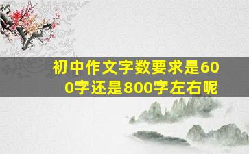 初中作文字数要求是600字还是800字左右呢