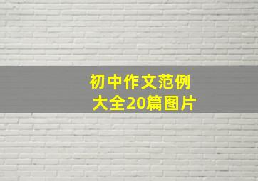 初中作文范例大全20篇图片