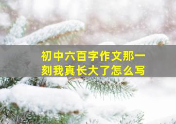 初中六百字作文那一刻我真长大了怎么写