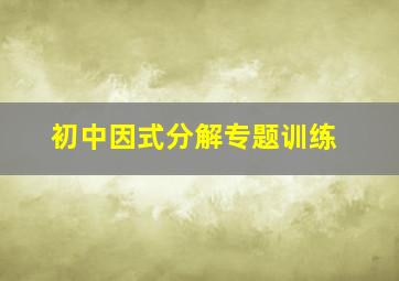 初中因式分解专题训练