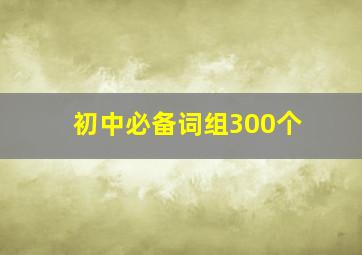 初中必备词组300个