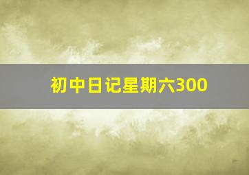 初中日记星期六300