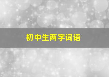 初中生两字词语