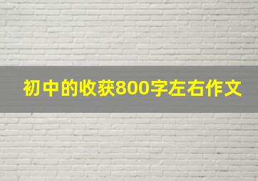 初中的收获800字左右作文