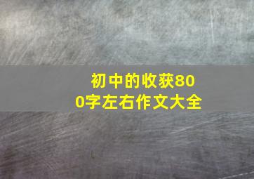 初中的收获800字左右作文大全