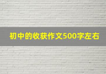 初中的收获作文500字左右