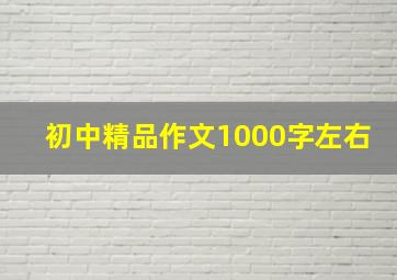 初中精品作文1000字左右