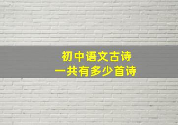 初中语文古诗一共有多少首诗