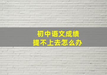 初中语文成绩提不上去怎么办