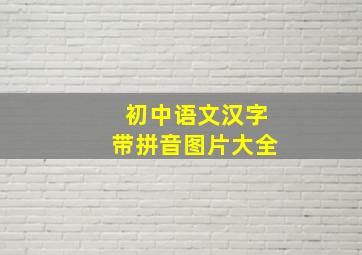 初中语文汉字带拼音图片大全