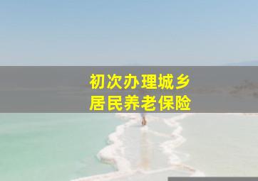 初次办理城乡居民养老保险