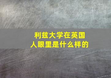 利兹大学在英国人眼里是什么样的