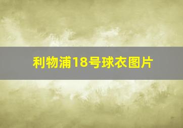 利物浦18号球衣图片