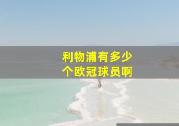 利物浦有多少个欧冠球员啊