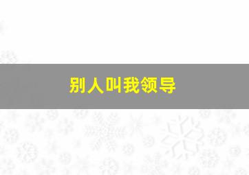 别人叫我领导