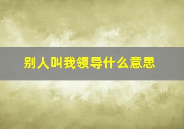 别人叫我领导什么意思