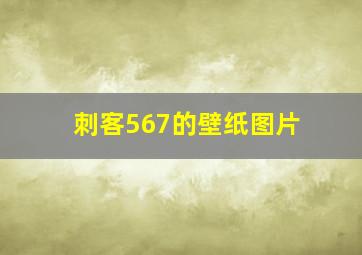 刺客567的壁纸图片